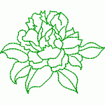 Rose embroidery pattern album