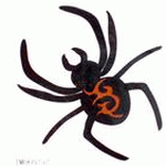 Spider Computer Version Spider embroidery pattern album