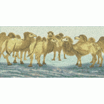 Camel Chaotic Embroidery embroidery pattern album