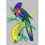 Parrot bird embroidery pattern album