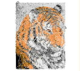 Tiger Head Tiger Chaotic Needle Embroidery embroidery pattern album