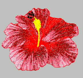 Rose Hibiscus embroidery embroidery pattern album