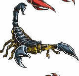 Scorpion AnimalS Stamp Men's embroidery pattern album