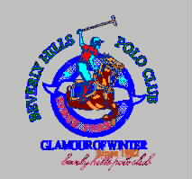 Paulo Polo Club CLUB Horse-riding Men's Wear USA BHPC embroidery pattern album