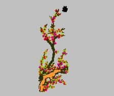 Plum blossom boutique embroidery pattern album