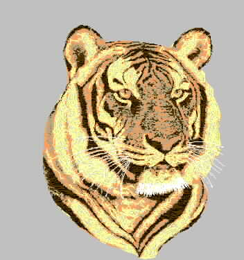 Tiger head tiger male embroidery pattern album