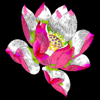 Lotus, national tide, national wind, lotus embroidery pattern album