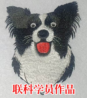 学员绣花样品