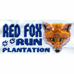 Fox fox embroidery pattern album