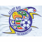 Football embroidery pattern album