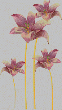 Wall covering porch big flower background wall embroidery pattern album