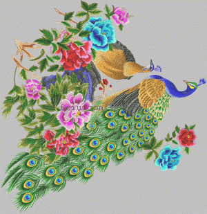 Peacock boutique embroidery pattern album