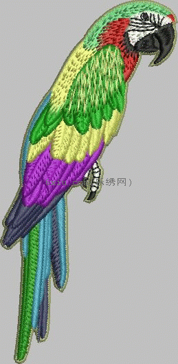 Bird parrot embroidery pattern album