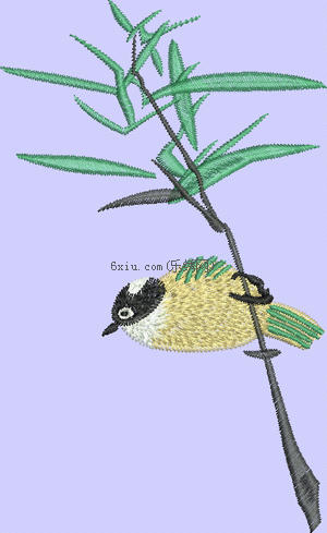 bird bamboo