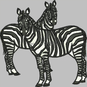 zebra horse
