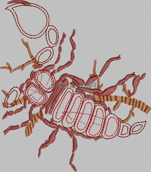 Scorpion embroidery pattern album