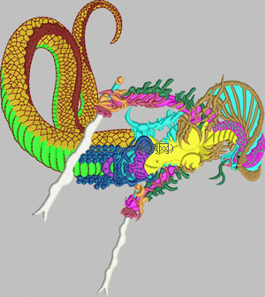beauty snake dragon