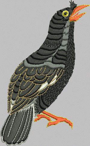 Bird crow embroidery pattern album