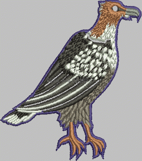 Hawk bird embroidery pattern album