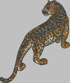 Leopard embroidery pattern album