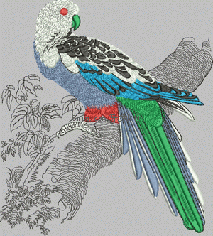 Parrot Bird embroidery pattern album