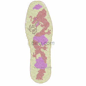 Dragon Cross Embroidered insole embroidery pattern album
